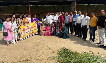 अखिल भारतीय जैन संस्कार मंच फाउंडेशन द्वारा लम्पी से पीड़ित गायों के लिए किया गया गौ सेवा कार्य