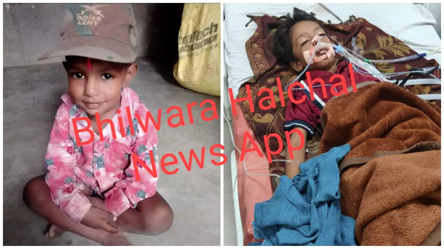 पांच और सात साल के दो मासूमों की ली जान, परिजनों में मचा कोहराम पांच और सात साल के दो मासूमों की ली जान, परिजनों में मचा कोहराम