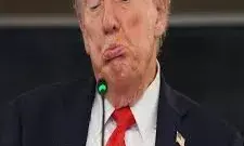 डोनल्ड ट्रंप को क्यों नहीं मिला शांति पुरस्कार? नोबेल समिति ने बताई बड़ी वजह डोनल्ड ट्रंप को क्यों नहीं मिला शांति पुरस्कार? नोबेल समिति ने बताई बड़ी वजह