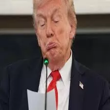 डोनल्ड ट्रंप को क्यों नहीं मिला शांति पुरस्कार? नोबेल समिति ने बताई बड़ी वजह