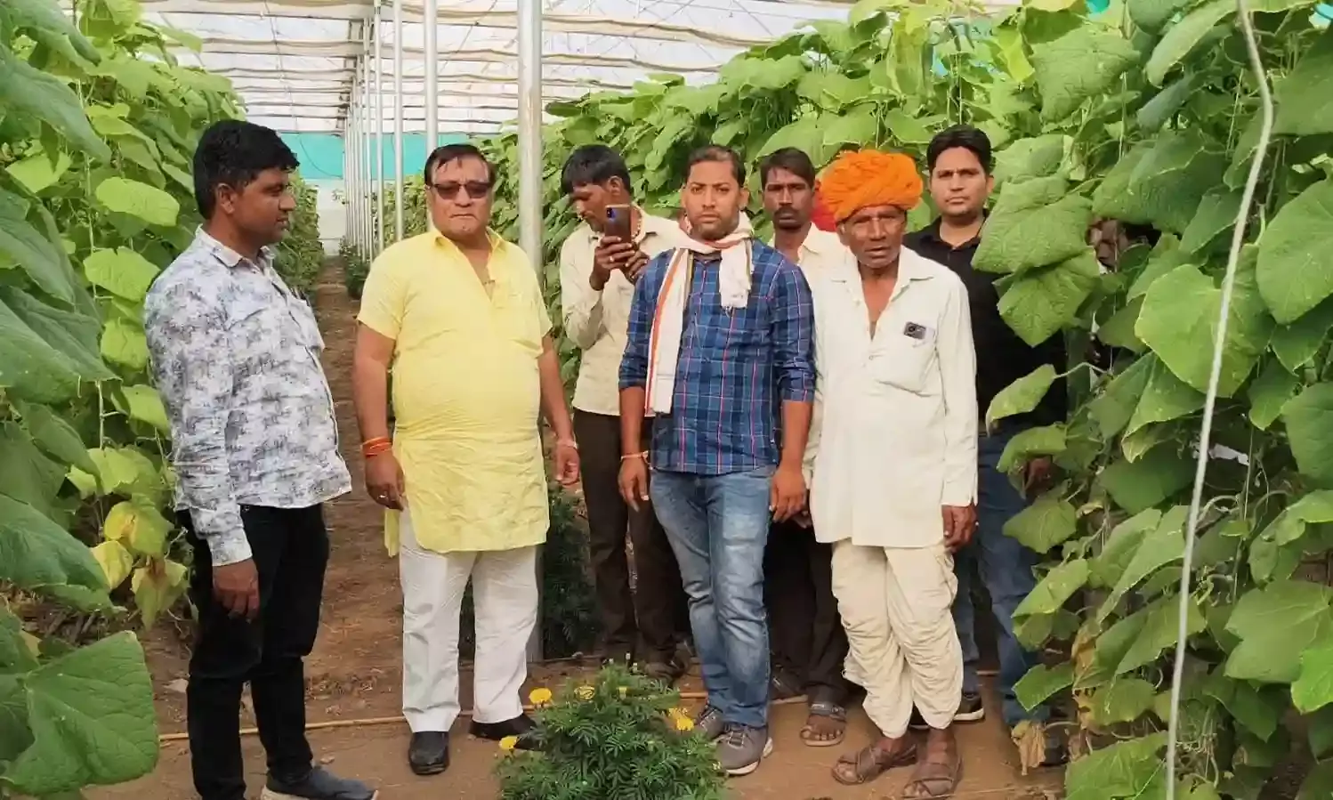 किसान जैविक खेती को दें बढ़ावा - पारीक