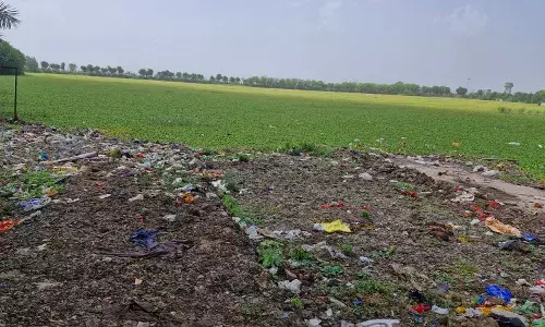 मानसरोवर झील की सफाई करवाकर गंदगीमुक्त करें