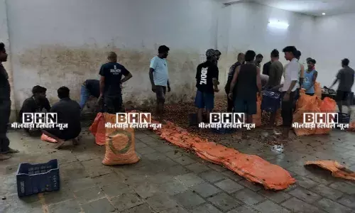 दीपावली से पहले 1000 किलो खजूर नष्ट, 39 खाद्य नमूने लिए गए