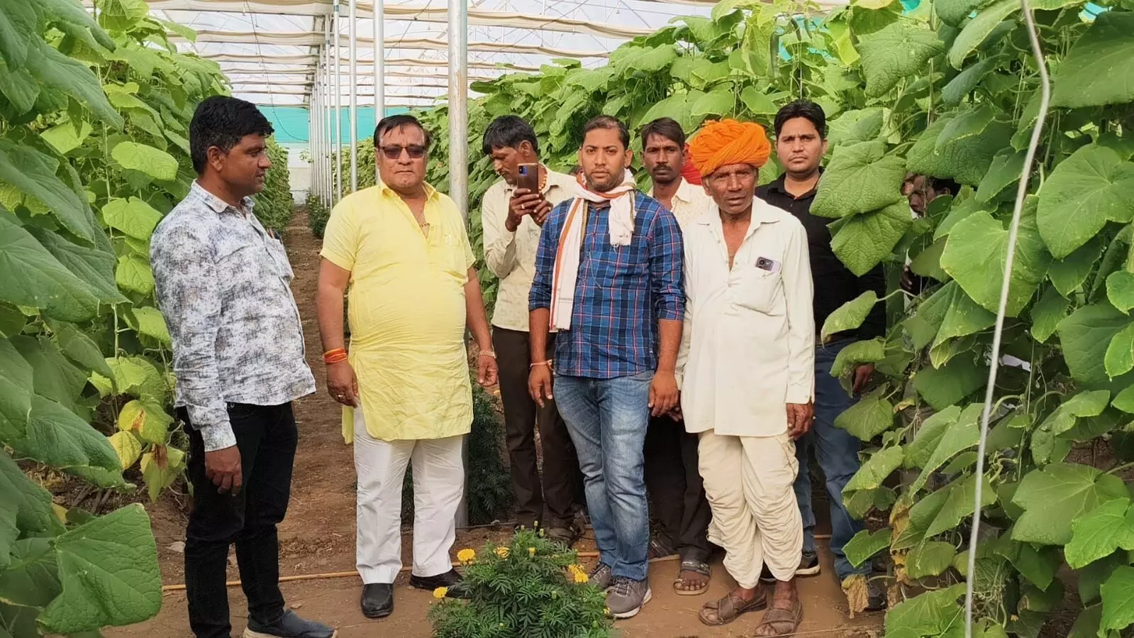 किसान जैविक खेती को दें बढ़ावा - पारीक