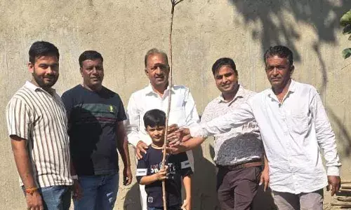 श्री निमडिया भैरव देव मंदिर प्रांगण में पौधारोपण