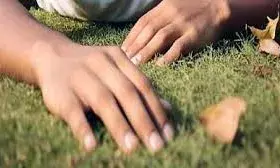 कृषि कार्य करते दो, अचानक तबीयत बिगडऩे से एक की मौत