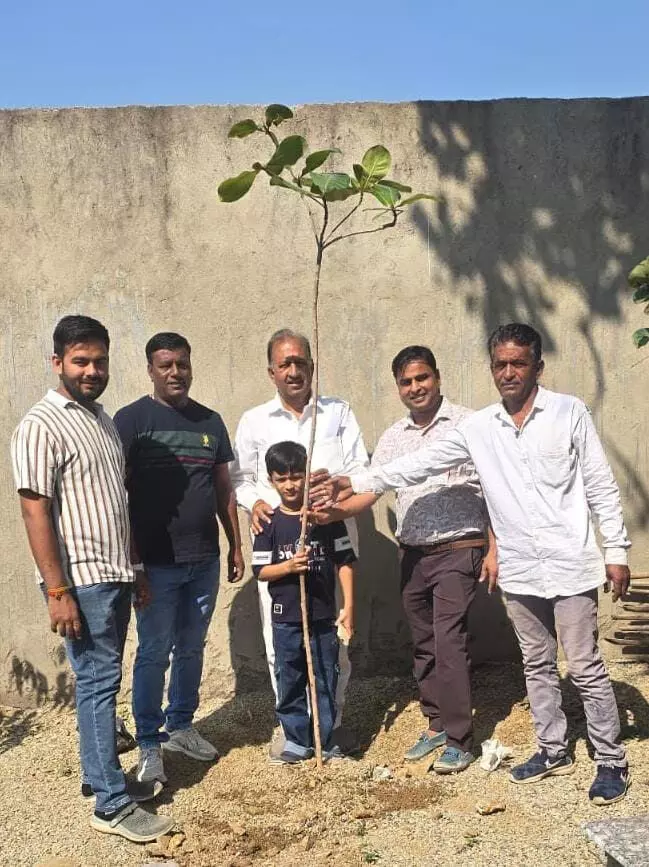 श्री निमडिया भैरव देव मंदिर प्रांगण में पौधारोपण