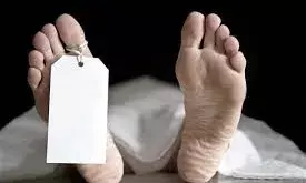 सडक़ हादसे में घायल बुजुर्ग ने तोड़ा दम