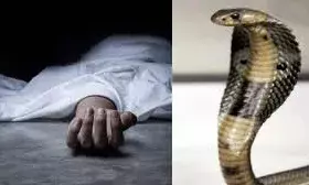 खेत में सो रहे चार साल के बच्चे को सांप ने डसा, अस्पताल में मौत