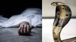 खेत में सो रहे चार साल के बच्चे को सांप ने डसा, अस्पताल में मौत खेत में सो रहे चार साल के बच्चे को सांप ने डसा, अस्पताल में मौत