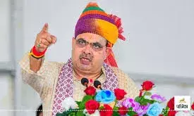 राजस्थान में पिछले सात विधानसभा उपचुनावों में भाजपा ने जीती सर्वाधिक पांच सीटें