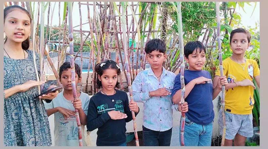 शाहपुरा में ग्रीन लिटिल बेबी की पहल से बच्चों ने मनाई पर्यावरण-मित्र दिवाली, दिया देश को अनोखा संदेश