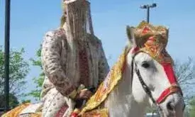 दूल्हा बनने से 3 दिन पहले ही जेल पहुंचा मौसम, 150 KG मांस के साथ पिता भी गिरफ्तार दूल्हा बनने से 3 दिन पहले ही जेल पहुंचा मौसम, 150 KG मांस के साथ पिता भी गिरफ्तार