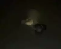 पानी से भरे गड्ढे में मिली महिला की लाश — इलाके में मचा हड़कंप, पुलिस ने शुरू की जांच