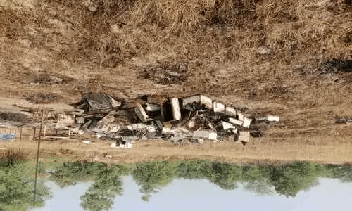अज्ञात लोगों ने मधुमक्खी पालन के बॉक्सों में लगा दी आग, किसानों को 10 लाख रुपए का नुकसान
