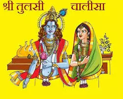 देवउठनी एकादशी पर करें तुलसी चालीसा का पाठ देवउठनी एकादशी पर करें तुलसी चालीसा का पाठ