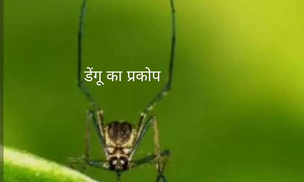 डेंगू से युवती की मौत, 27 दिन पहले हुई थी शादी