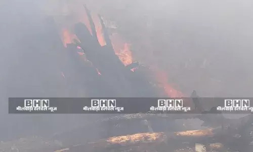 बाड़े में लगी आग, घास व लकडिय़ां जलीं, मची अफरा-तफरी