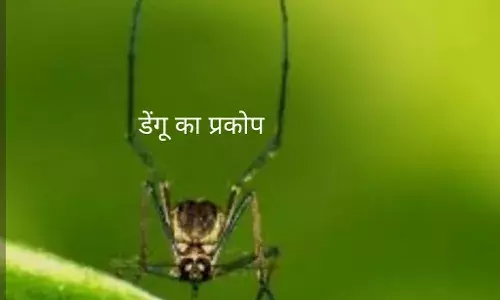 डेंगू से युवती की मौत, 27 दिन पहले हुई थी शादी डेंगू से युवती की मौत, 27 दिन पहले हुई थी शादी