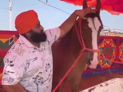 पुष्कर-मेले में पहुंची 1 करोड़ की घोड़ी, 4-शो जीत चुकी पुष्कर-मेले में पहुंची 1 करोड़ की घोड़ी, 4-शो जीत चुकी