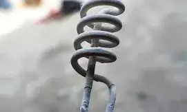 रॉड से करंट लगा, प्रौढ़ की मौत, जहरीले जंतु के काटने से बुजुर्ग की गई जान