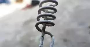 रॉड से करंट लगा, प्रौढ़ की मौत, जहरीले जंतु के काटने से बुजुर्ग की गई जान