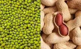 भीलवाड़ा, मांडलगढ़ और बिजौलियां में एक नवंबर से समर्थन मूल्य पर मूंग, उड़द और मूंगफली की खरीद शुरू