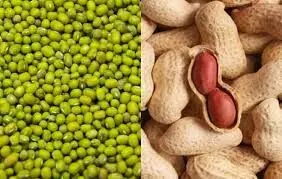 भीलवाड़ा, मांडलगढ़ और बिजौलियां में एक नवंबर से समर्थन मूल्य पर मूंग, उड़द और मूंगफली की खरीद शुरू