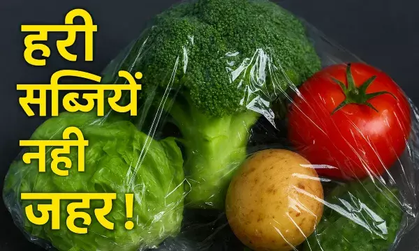 सब्जियां नहीं... प्लास्टिक खा रहे हैं? अध्ययन तो यही बता रहे हैं