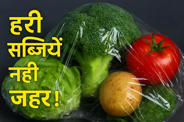 सब्जियां नहीं... प्लास्टिक खा रहे हैं? अध्ययन तो यही बता रहे हैं