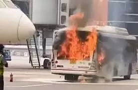 दिल्ली एयरपोर्ट पर एयर इंडिया की बस में अचानक लगी आग, मचा अफरा-तफरी दिल्ली एयरपोर्ट पर एयर इंडिया की बस में अचानक लगी आग, मचा अफरा-तफरी