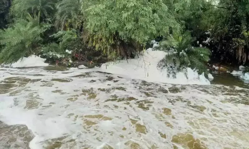 आटूण गांव में नाले के दूषित पानी की जांच, आरपीसीबी टीम ने क‍िया न‍िरीक्षण