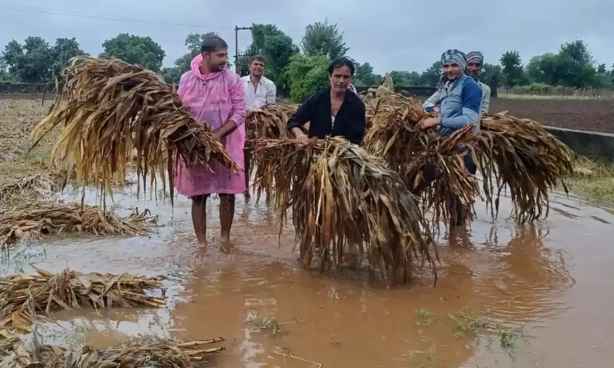 सवाईपुर क्षेत्र मे तीसरे दिन थमा बारिश का दौर, पानी में डुबी फसलें, बचाने की जुगत में जुटे किसान