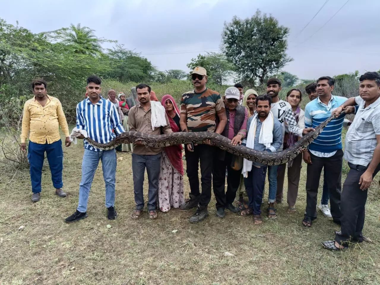 15 फीट लंबे व 60 कीलो वजनी अजगर का रेशक्यु कर जंगल में छोड़ा