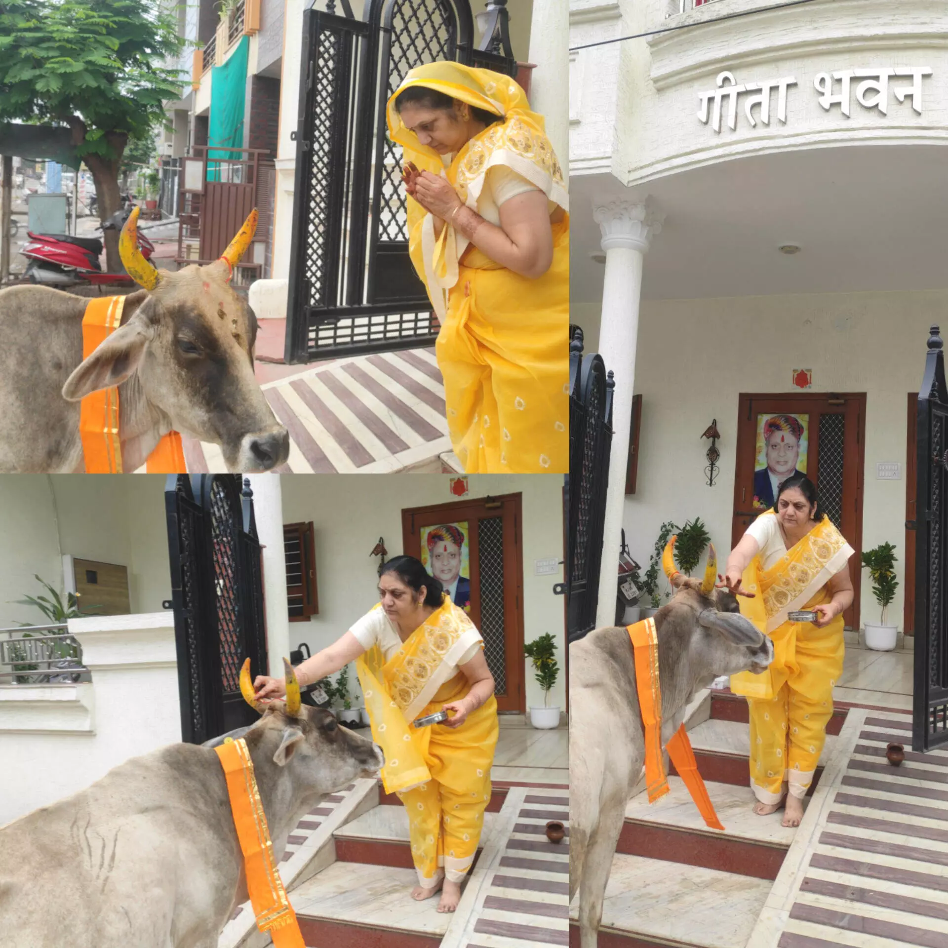 गौसेवार्थ चारे हेतु वर्षभर हर माह गौशालाओं को दी जाएगी आर्थिक सहायता