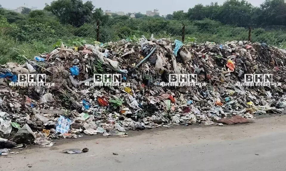 भीलवाड़ा में सफाई ठेकेदार और निगम की मिलीभगत से रिंग रोड बना कचरा डंपिंग ज़ोन