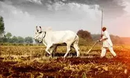 7.63 लाख किसानों के लिए कृषि आदान अनुदान स्वीकृत 7.63 लाख किसानों के लिए कृषि आदान अनुदान स्वीकृत