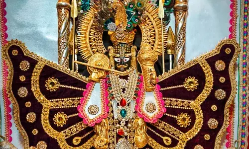 जय श्री कोटड़ी श्याम दरबार आज मंगला श्रृंगार आरती के दर्शन दिनांक    01-11-2025