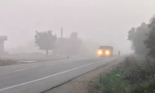 सुबह छाया कोहरा, खुला मौसम निकली धूप