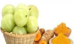 आयुर्वेद के वरदान: आंवला, हल्दी, तुलसी और घी जैसी चीजें रखती हैं शरीर और मन दोनों को स्वस्थ