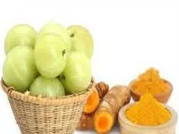 आयुर्वेद के वरदान: आंवला, हल्दी, तुलसी और घी जैसी चीजें रखती हैं शरीर और मन दोनों को स्वस्थ