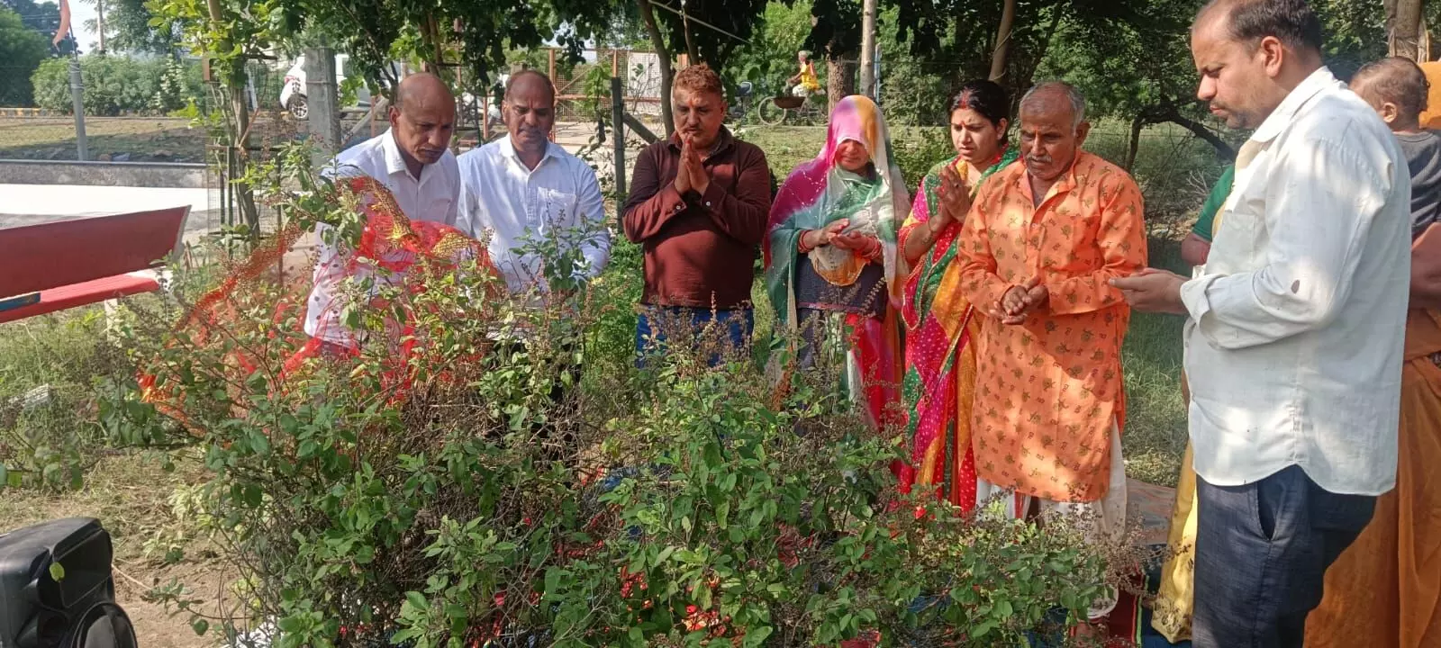 देव उठनी एकादशी पर श्री कामधेनु बालाजी मंदिर मे तुलसी पूजन का भव्य आयोजन