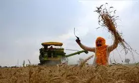 बड़ी कृषि भूमि वाले किसानों को भरना होगा आयकर रिटर्नnआईसीएआई की सिफारिश,