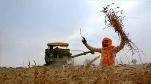 बड़ी कृषि भूमि वाले किसानों को भरना होगा आयकर रिटर्नnआईसीएआई की सिफारिश, बड़ी कृषि भूमि वाले किसानों को भरना होगा आयकर रिटर्नnआईसीएआई की सिफारिश,