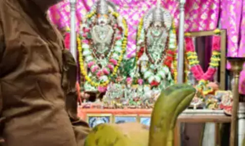 मंदिर में चढ़ाया पपीता  ,बना आकर्षण का केंद्र