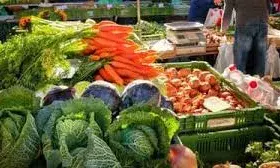 सर्दियों में खूब खाएं ये 6 सब्जियां, रहें तंदुरुस्त और बीमारियों से दूर