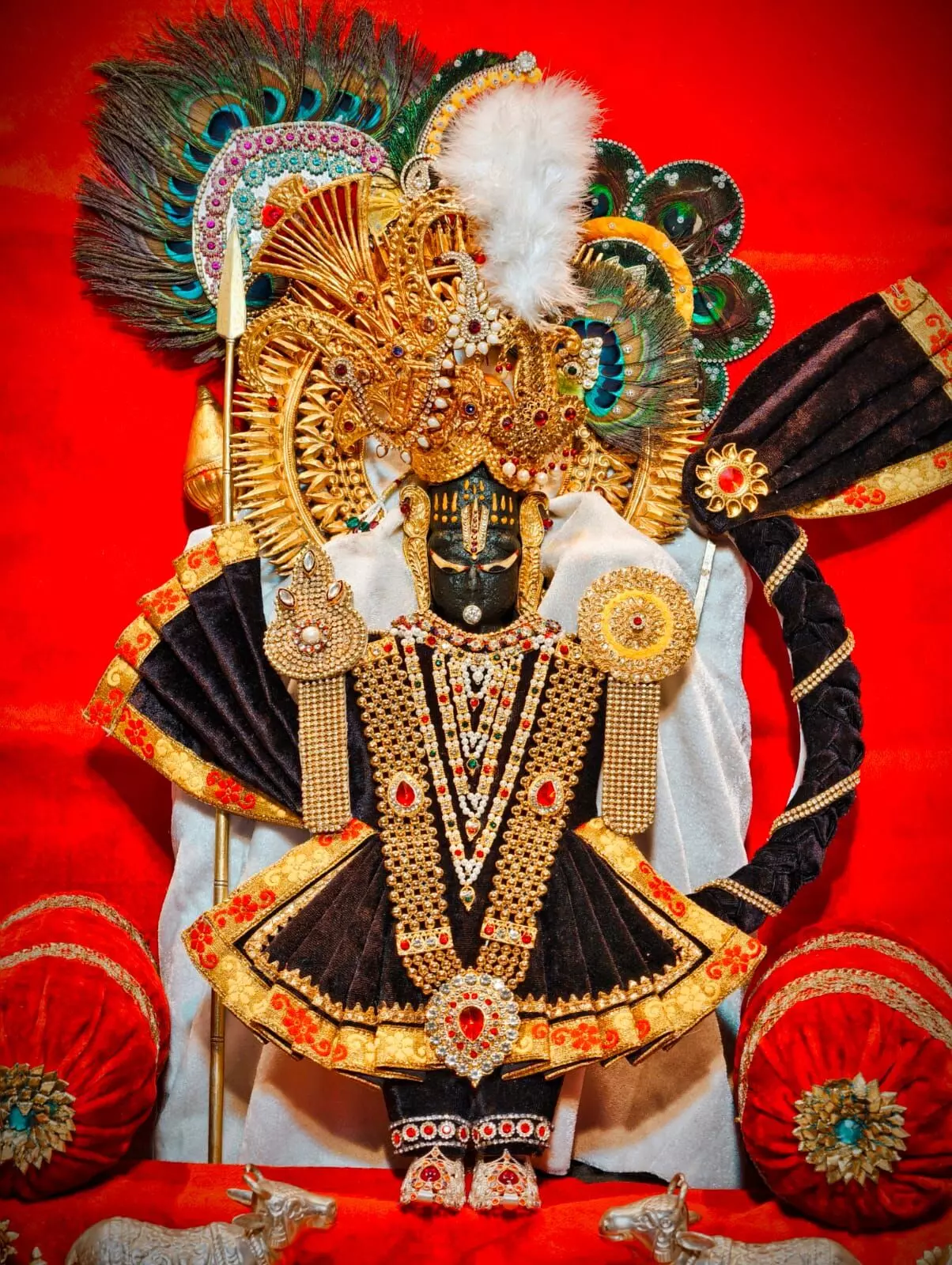 जय श्री कोटड़ी श्याम दरबार आज मंगला श्रृंगार आरती के दर्शन दिनांक    04-11-2025