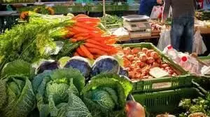 सर्दियों में खूब खाएं ये 6 सब्जियां, रहें तंदुरुस्त और बीमारियों से दूर