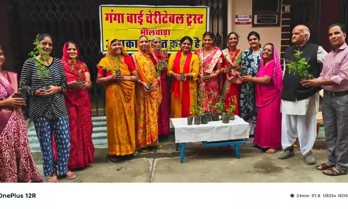 तुलसी के 200 पौधे निःशुल्क वितरित किये