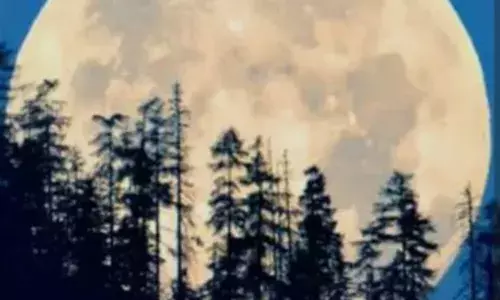 भीलवाड़ा से दिखेगा 30% ज्यादा रोशनी वाला ‘सुपरमून’, रात 8 बजे से आसमान बनेगा नजारा